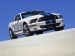Shelby Shelby Cobra GT500 Picture #67